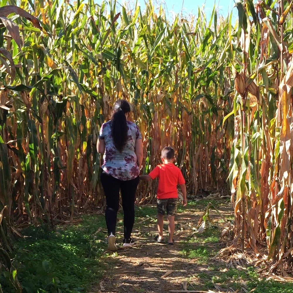 Meet your Posher, Sheera